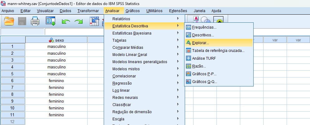 solicitando estatísticas descritivas no SPSS.